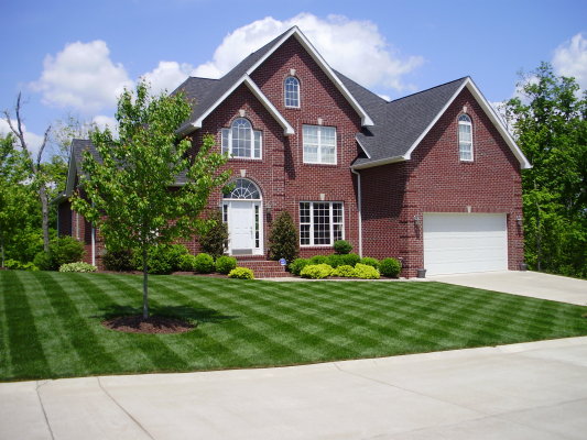 Lawns are our Specialty!
